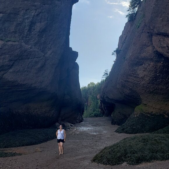 Meet your Posher, Sonya - Picture 1 of 1